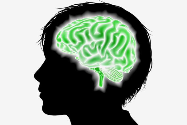 child brain 2